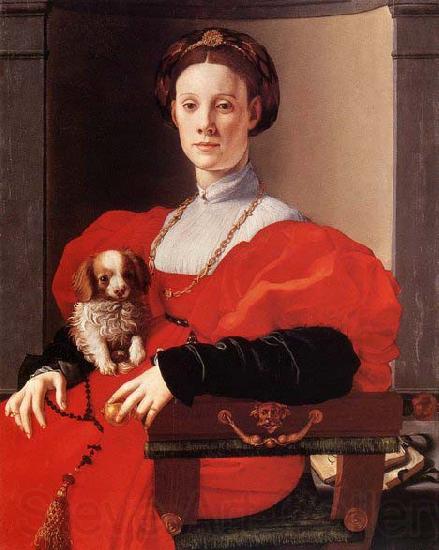 Pontormo, Jacopo Portrait of a Lady in Red Spain oil painting art